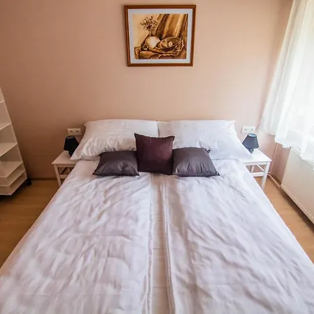 Feszek Apartman * Gyula