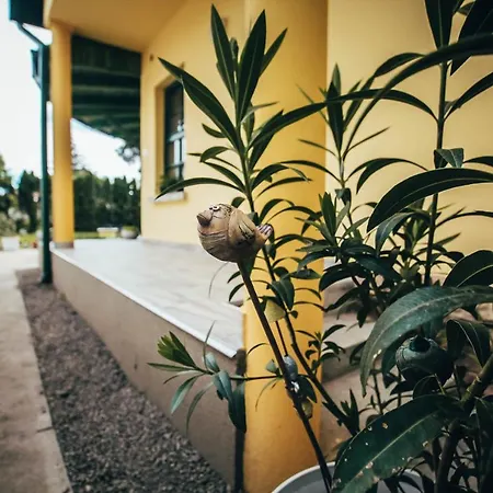 Feszek Apartman Aparthotel *